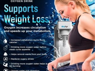 WhatsApp Image 2026-02-04 at 12