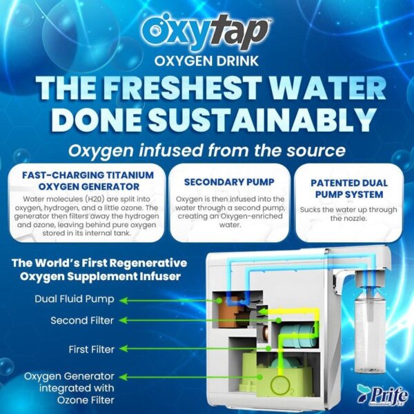 whatsapp-image-2026-02-04-at-12-2